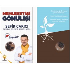 KARIŞIK KIR ÇİÇEĞİ TOHUMLARI